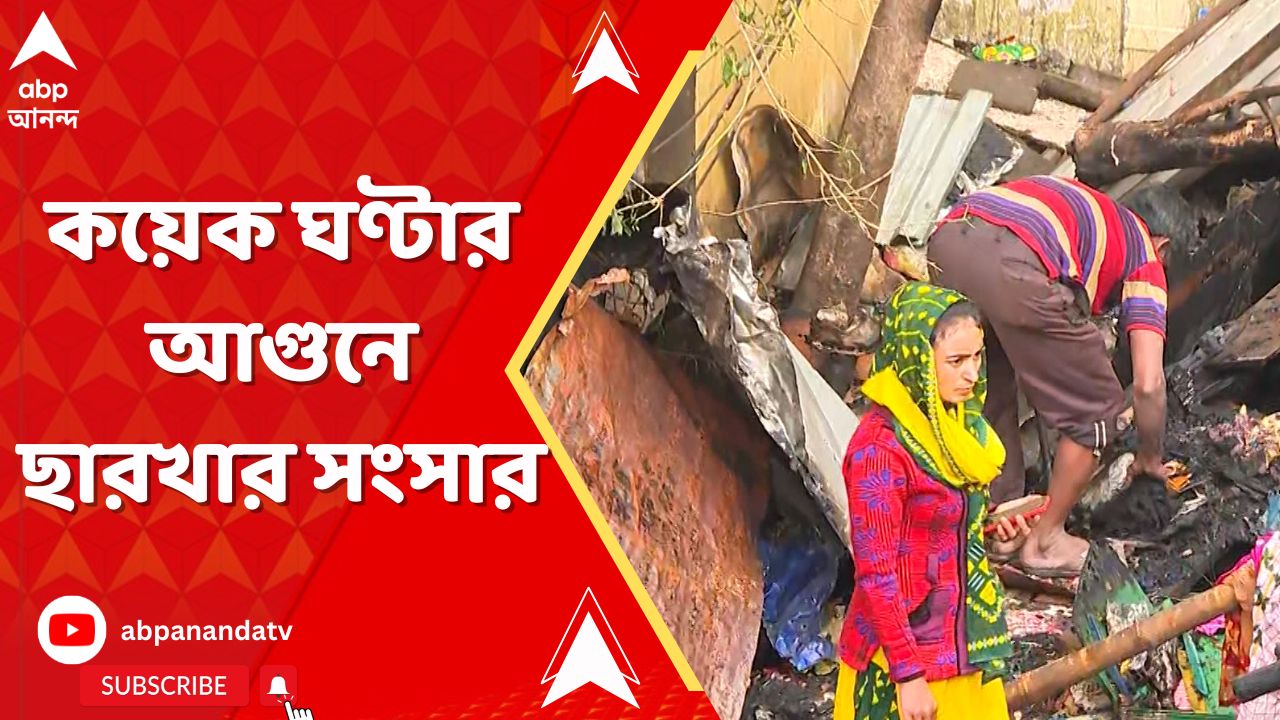 Kolkata Fire News: সর্বস্ব হারিয়ে গেরস্থালির শেষ সম্বল খোঁজার চেষ্টায় নিউআলিপুরের ঝুপড়ির বাসিন্দারা