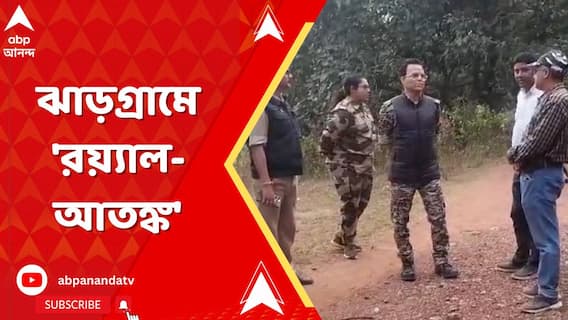 ৫ বছর পর ঝাড়গ্রামে ফের বাঘের ভয়। সন্ধে নামতেই শুনশান বেলপাহাড়ি-কাঁকড়াঝোর