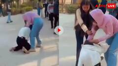 पापा की परी आपस में लड़ीं! कॉलेज कैंपस में बाल नोचे-कपड़े फाड़े और हो गया कांड, देखें वीडियो