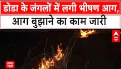 Jammu Kashmir News: डोडा के जंगलों में लगी भीषण आग, वन विभाग के कर्मचारी आग बुझाने पर जुटे