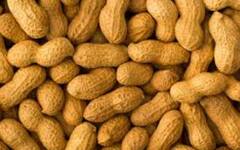 શિયાળામાં મગફળી અને ગોળ ખાવાના ફાયદા જાણી તમે પણ ચોંકી જશો