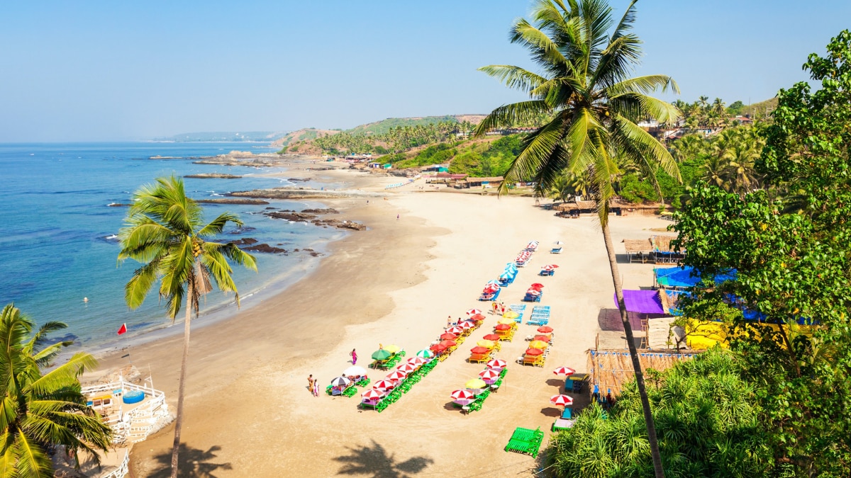 From Se Cathedral To Calangute Beach: 5 Places In Goa To Experience Christmas