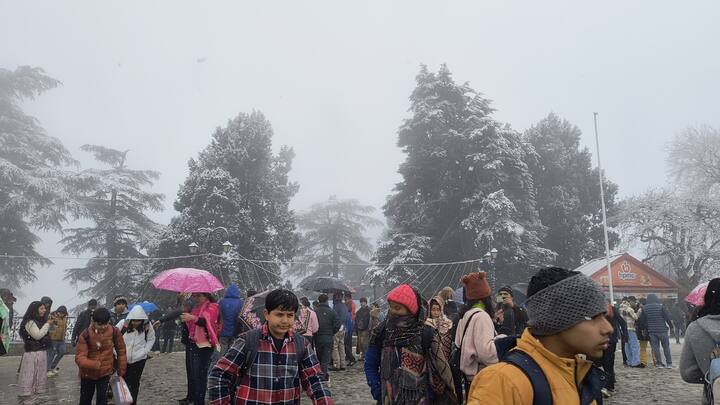 पहाड़ों की रानी में आने वाले दिनों में शिमला विंटर कार्निवाल की भी शुरुआत होने जा रही है. इस कार्निवल में मिलने वाला मजा दोगुना हो गया है. साथ ही लोगों के मन में व्हाइट क्रिसमस मनाने की आज भी जग गई है.