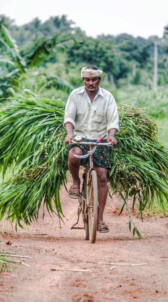 बिहार में किसानों के लिए चल रहीं ये टॉप स्कीम्स