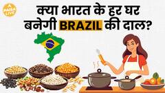 दाल-तेल के बढ़ते दाम पर लगाम, भारत सरकार की नई चाल | Paisa Live