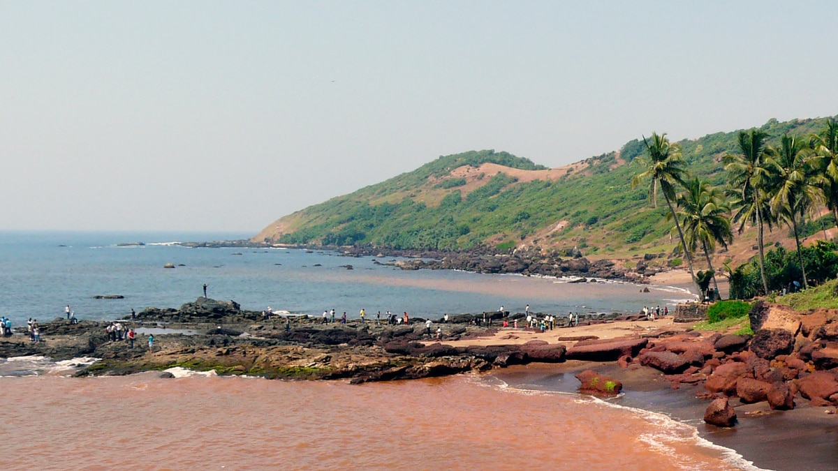 From Se Cathedral To Calangute Beach: 5 Places In Goa To Experience Christmas