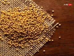 Peeli Sarson Ke Upay: दिया में पीली सरसों डालकर जलाने से क्या होता है?