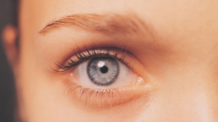 Image Stabiliser Vestibulo-Ocular Reflex Vision   The Amazing Image Stabiliser Inside Your Head: Understanding The Vestibulo-Ocular Reflex 