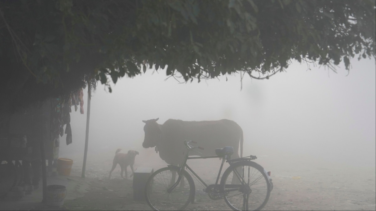 Bihar Weather Today: बिहार में बारिश के बाद पड़ेगी कड़ाके की ठंड, आज कैसा रहेगा मौसम का हाल? IMD ने जारी किया अलर्ट