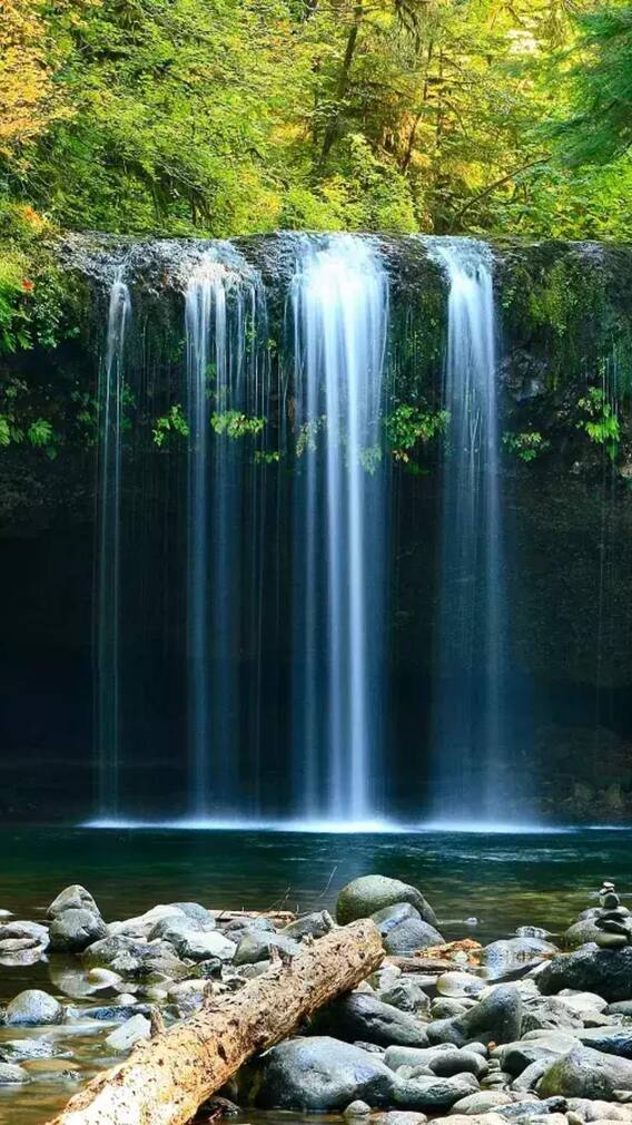 ऋषिकेश में गंगा किनारे के 7 खूबसूरत स्थल, जाना ना भूलें