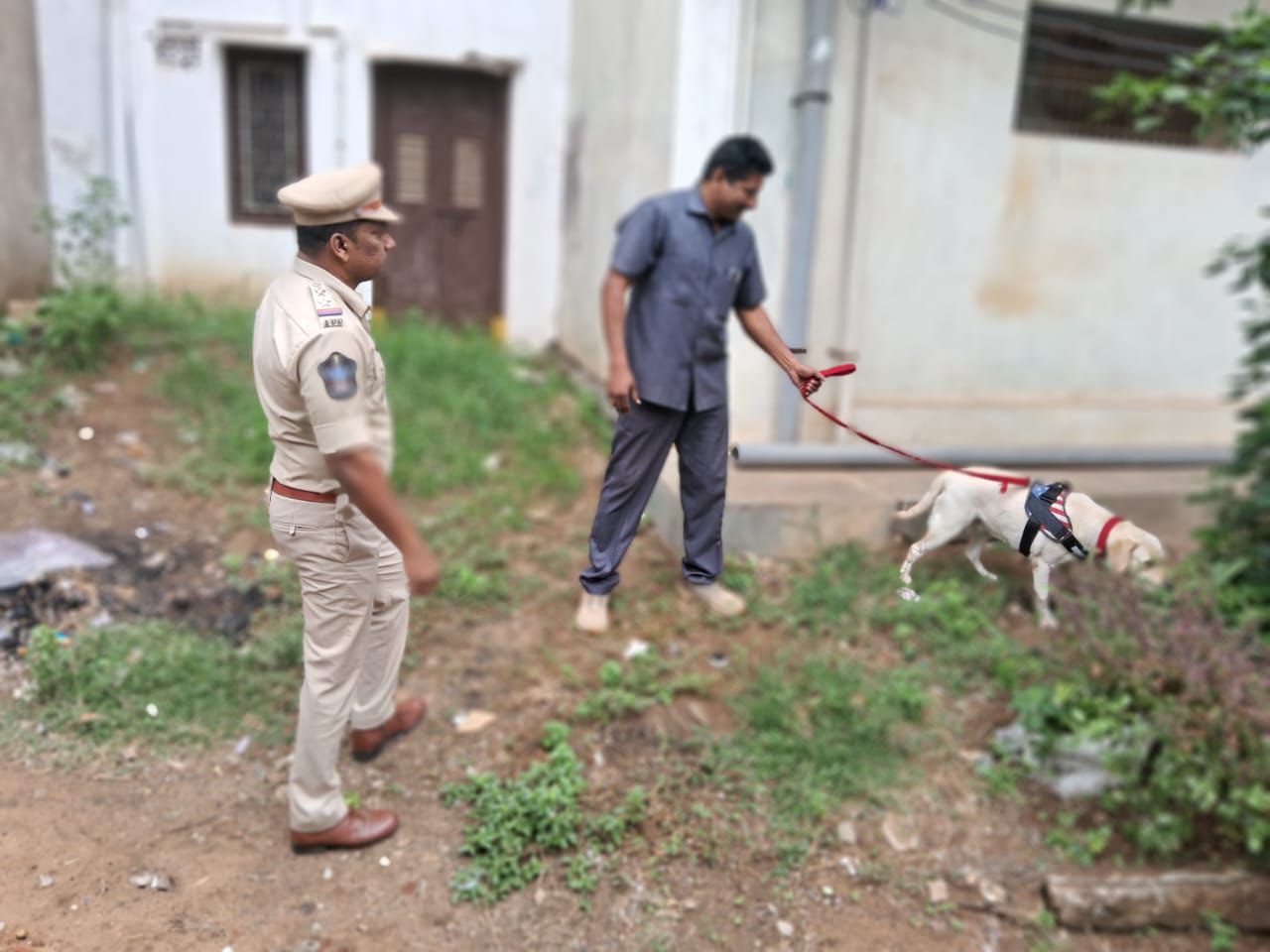 Srikakulam Latest News: డ్రగ్స్‌ను అరికట్టడంలో ముందుంటున్న పోలీస్‌ డాగ్స్- ఇంతకీ మాదక ద్రవ్యాలను ఎలా గుర్తిస్తాయి?