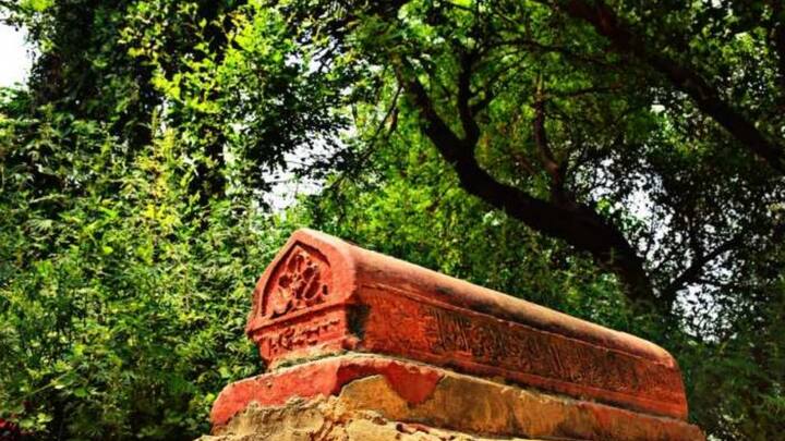 सदर कोतवाली क्षेत्र के कमालपुर सराय गांव में ‘तोता-मैना की कब्र’ मौजूद है. इसके अलावा ‘तोता-मैना की कब्र’ से कुछ ही दूरी पर ‘बाबरी कुआं’ भी मौजूद है, जिसे चोरों के कुएं के नाम से जाना जाता है.बताया जाता है कि यह जगह पृथ्वीराज चौहान के समय की है. चौहान वंश के समय संभल पृथ्वीराज चौहान की राजधानी हुआ करती थी.