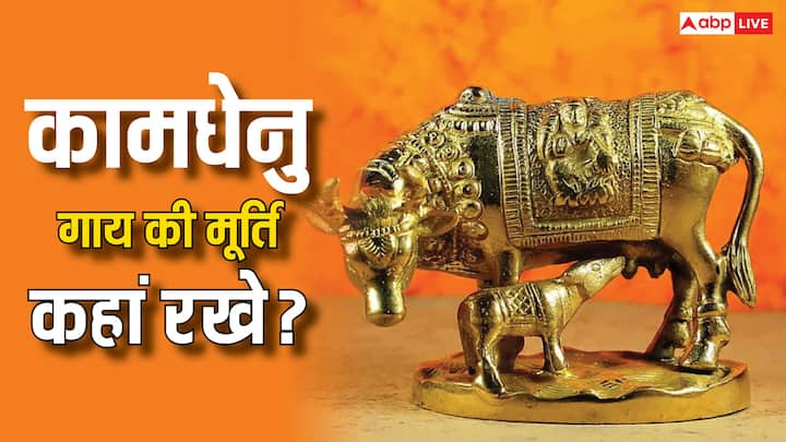 Astrology: कामधेनु गाय को सभी गायों की माता माना जाता है. घर में कामधेनु गाय की मूर्ति घर में रखना शुभ माना जाता है, लेकिन अगर इस मूर्ति को सही दिशा में रखा जाए तो इसके कई लाभ हैं.