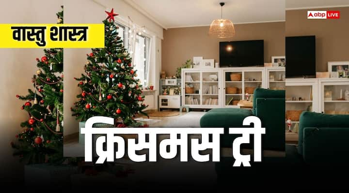 Merry Christmas 2024: क्रिसमस ट्री के बिना यह त्योहार अधूरा है. क्यों न क्रिसमस ट्री को कुछ ऐसा सजाया जाए जो सुंदर होने के साथ शुभ भी हो. इसलिए क्रिसमस ट्री सजाते समय वास्तु सिद्धांतों का ध्यान रखें.