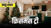 Merry Christmas 2024: क्रिसमस ट्री से सुंदरता के साथ घर आएगी शुभता, वास्तु अनुसार करें डेकोरेशन