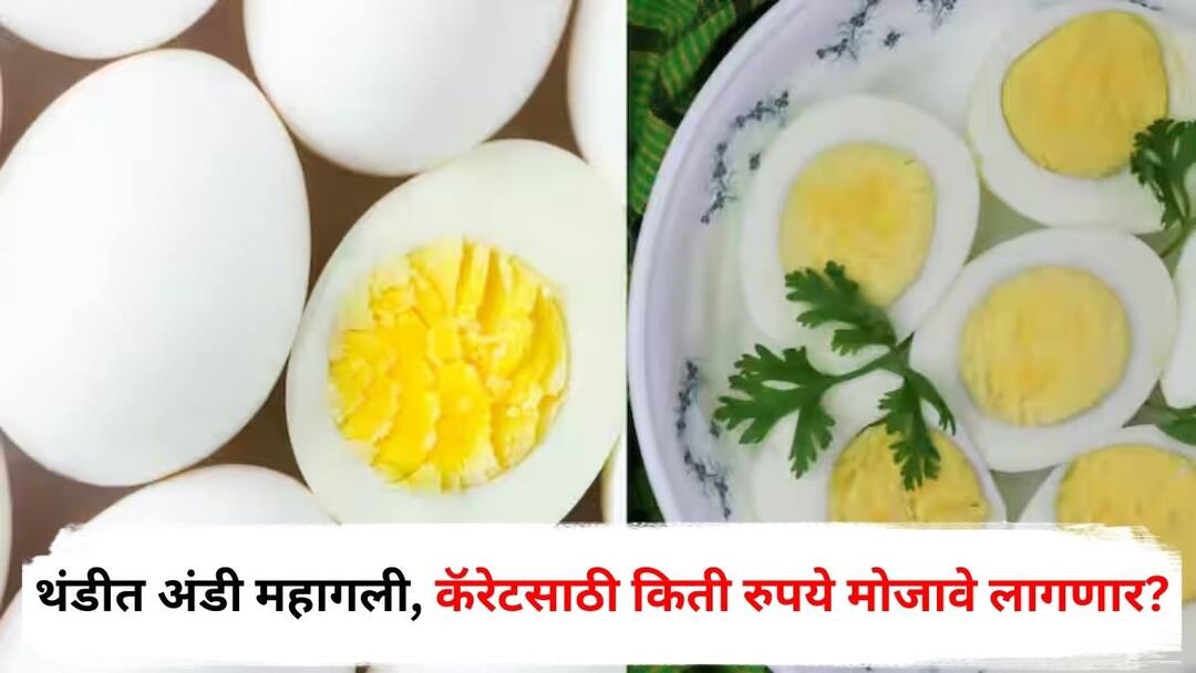 Egg prices increase as winter approaches how much will it cost per carat now Nandurbar Maharashtra Marathi News Egg Price : सर्वसामान्यांना फटका! थंडीत अंडी महागली; आता कॅरेटसाठी किती रुपये मोजावे लागणार?