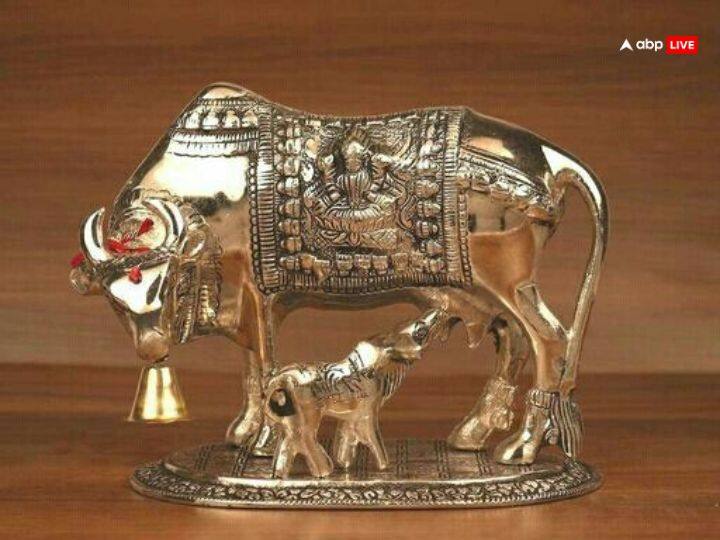 वास्तु के अनुसार घर में कामधेनु गाय की मूर्ति रखना बहुत शुभ माना गया है. कामधेनु गाय की मूर्ति घर में रखने से सुख, समृद्धि आती है और सभी मनोकानाओं की पूर्ति होती है.