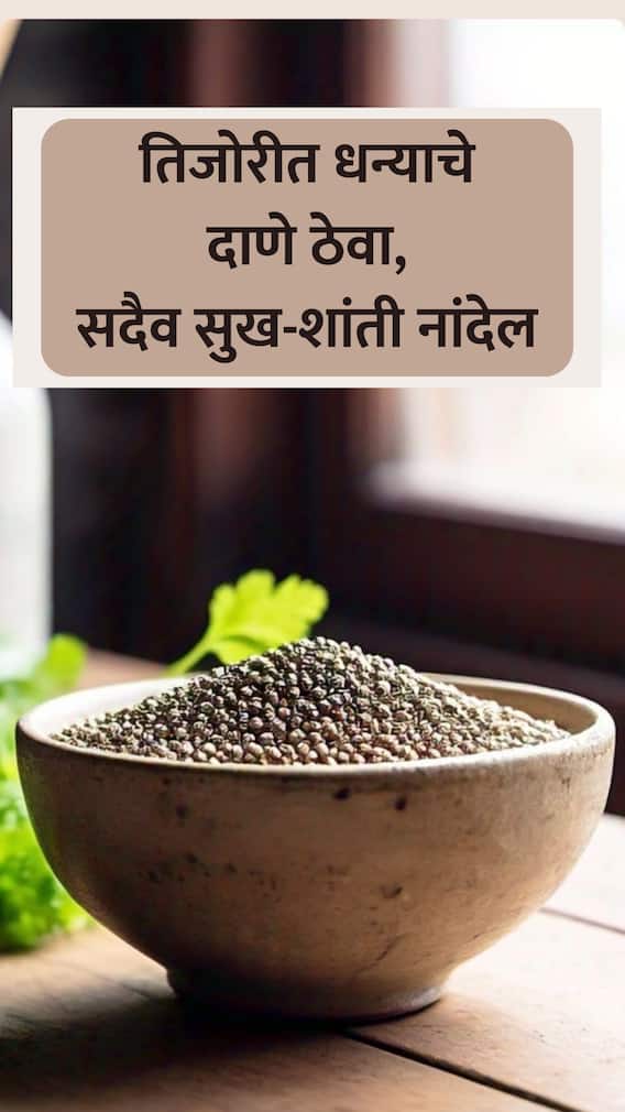 तिजोरीत धन्याचे दाणे ठेवा अन् झटपट मालामाल व्हा!