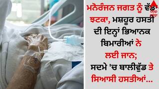 Death: ਮਨੋਰੰਜਨ ਜਗਤ ਨੂੰ ਵੱਡਾ ਝਟਕਾ, ਮਸ਼ਹੂਰ ਹਸਤੀ ਦੀ ਇਨ੍ਹਾਂ ਭਿਆਨਕ ਬਿਮਾਰੀਆਂ ਨੇ ਲਈ ਜਾਨ; ਸਦਮੇ 'ਚ ਬਾਲੀਵੁੱਡ ਤੇ ਸਿਆਸੀ ਹਸਤੀਆਂ...