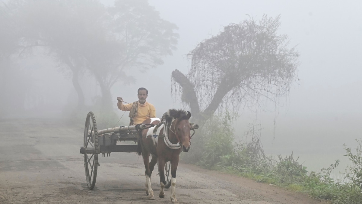 UP Weather: आज के मौसम का हाल, यूपी के कई जिलों में बारिश का अलर्ट, 48 घंटों में और गिरेगा पारा