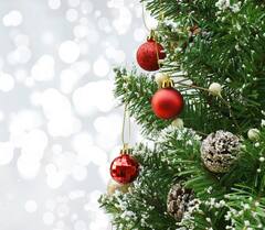 Christmas Tree Vastu Tips: ક્રિસમસ ટ્રી ઘરમાં રાખવાથી શું થાય છે ફાયદા, જાણો લગાવવાની રીત અને નિયમ