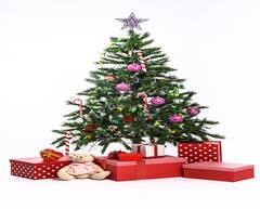 Christmas 2024:  નાતાલના અવસરે આ કામ કરવાનું ન ચૂકશો, જીવનમાં સુખ સમૃદ્ધિની થશે વૃદ્ધિ