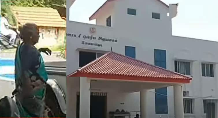 NTK Seeman's mother Annammal came asking for 100 days of work; Ilayangudi 100 நாள் வேலை கேட்டு வந்த சீமானின் தாய்; இளையான்குடியில் பரபரப்பு