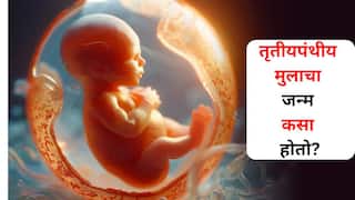 Hindu Religion: पती-पत्नीच्या 'या' एका चुकीमुळे 'तृतीयपंथीय' मुलाचा जन्म होतो? त्यांचा जन्म कसा होतो? पुराण आणि धर्मग्रंथांत म्हटलंय..