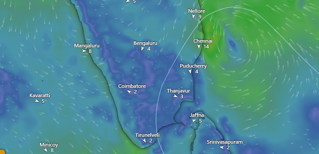 Chennai Rain: சென்னையா, கொடைக்கானலா.!  எங்கு பார்த்தாலும் மழைச்சாரலும் பனிமூட்டமுமான காட்சிகள்.!