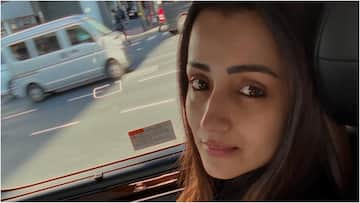 Trisha: త్రిష ఇంట విషాదం... క్రిస్మస్ రోజు కుమారుడిని కోల్పోయానంటూ హీరోయిన్ ఎమోషనల్