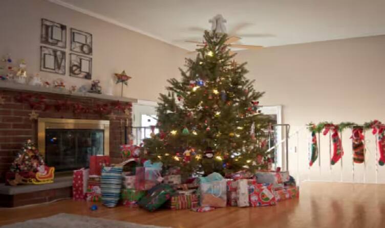 Christmas 2025: અસલી ક્રિસમસનું ઝાડ કયુ હોય છે, અને ક્યાં ઉગે છે ? અહીં જાણો Happy Christmas Day 2025 know real christmas tree name and where does it grow Christmas 2025: અસલી ક્રિસમસનું ઝાડ કયુ હોય છે, અને ક્યાં ઉગે છે ? અહીં જાણો
