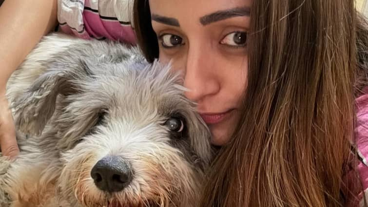 Trisha Krishnan Mourns The Loss Of Her Pet Dog 'Zorro' On Christmas, Announces Break From Work