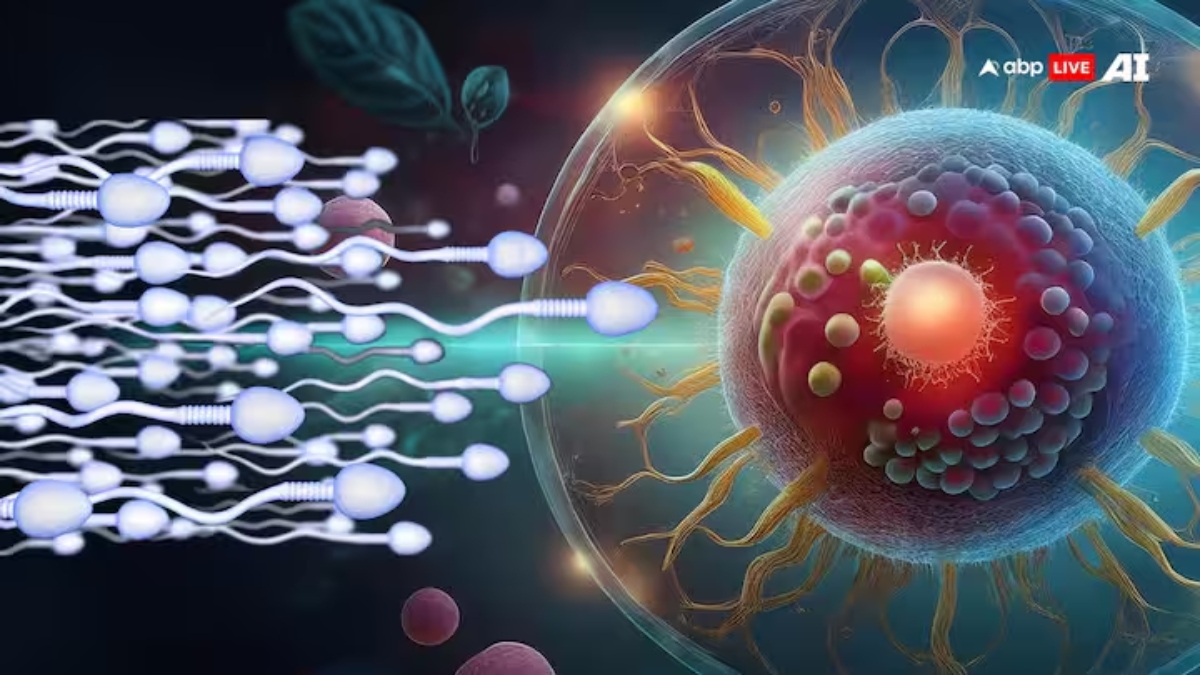 'स्पर्म सुरक्षित रखे ताकि वो...', पति की मौत के बाद पत्नी ने की अजीबो-गरीब डिमांड