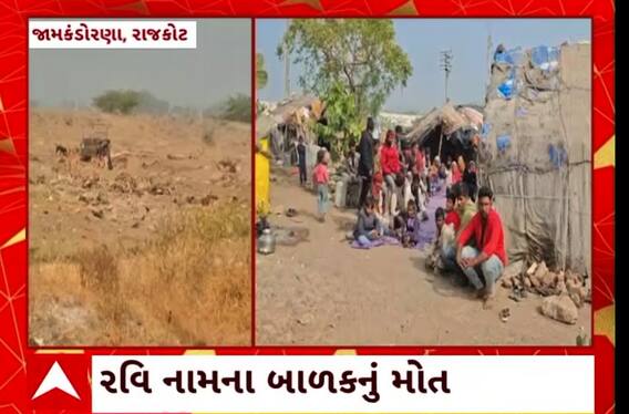 Rajkot News: રાજકોટના જામકંડોરણામાં શ્વાનના હુમલામાં બાળકનું મોત
