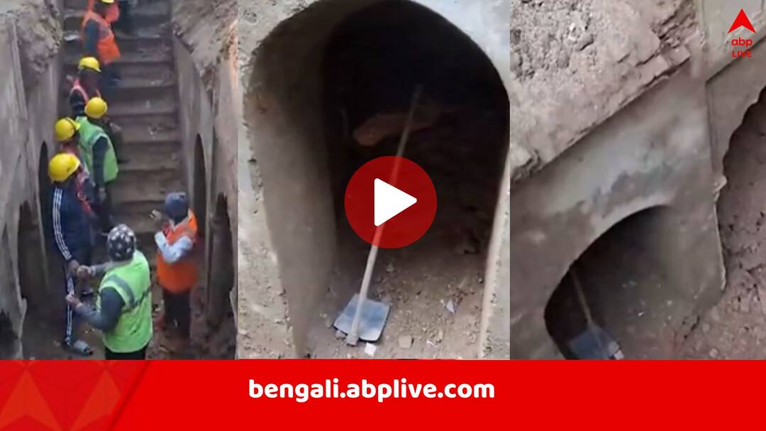 Sambhal Archaeological Survey: দোতলা নির্মাণের নীচে জলাধার, রাজারানিদের জন্যই তৈরি, সম্ভলে খোঁড়াখুঁড়িতে প্রাণ পেল ইতিহাস sambhal chandausi first floor of bawdi found in excavation by Archaeological Survey of India Sambhal Archaeological Survey: দোতলা নির্মাণের নীচে জলাধার, রাজারানিদের জন্যই তৈরি, সম্ভলে খোঁড়াখুঁড়িতে প্রাণ পেল ইতিহাস