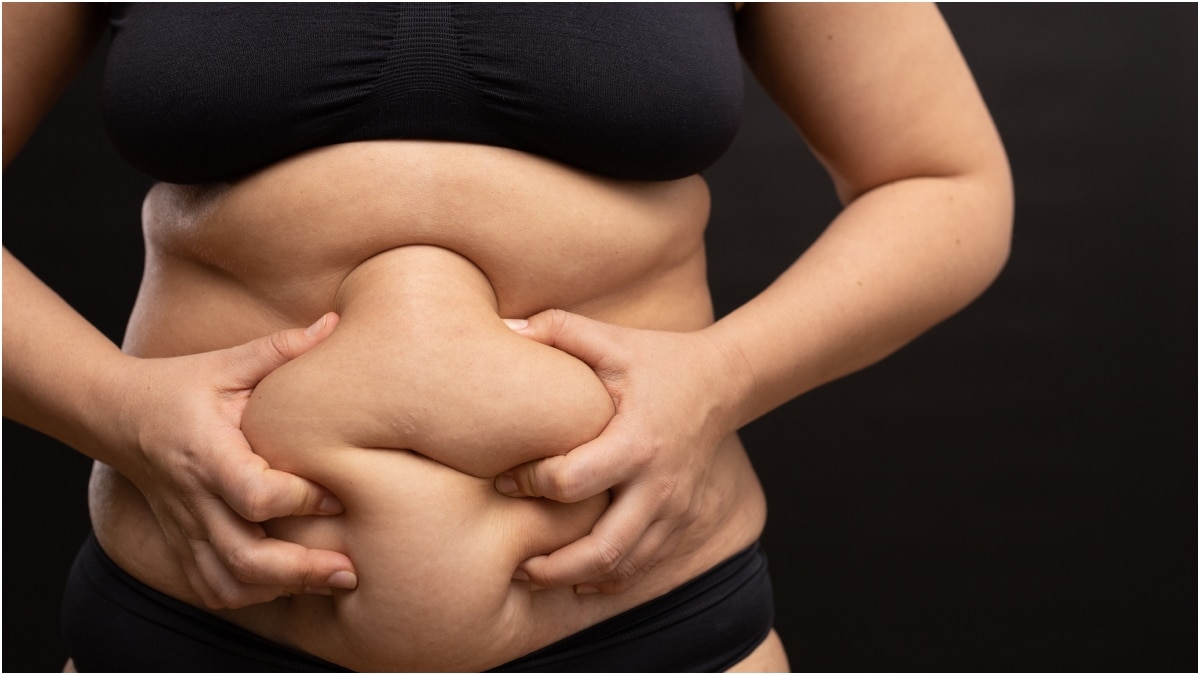 Belly Fat in Women : మహిళల్లో పొట్ట పెరగడానికి కారణాలివే.. ఫ్లాట్ బెల్లీ కోసం ఈ డ్రింక్స్ తాగేయండి