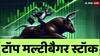 Multibagger Stocks: 2024 के सबसे बड़े मल्टीबैगर शेयर, एक ने तो 6 महीने में 35 हजार का 3300 करोड़ कर दिया