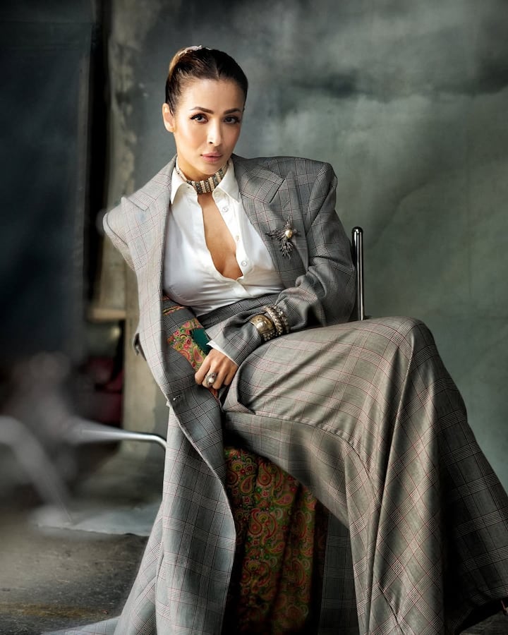 कोणत्याही सार्वजनिक ठिकाणी मी माझ्या वैयक्तिक आयुष्याविषयी कधीही काहीही सांगणार नाही. ते मला आवडणारं नाही. त्यामुळेच अर्जुन कपूरने जे काही विधान केलं आहे, तो त्याचा अधिकार आहे. त्याच्या विशेषाधिकाराअंतर्गत त्याने हे विधान केलं आहे, त्यामुळे मला यावर काहीही बोलायचं नाही, असं मलायका अरोराने सांगितले.