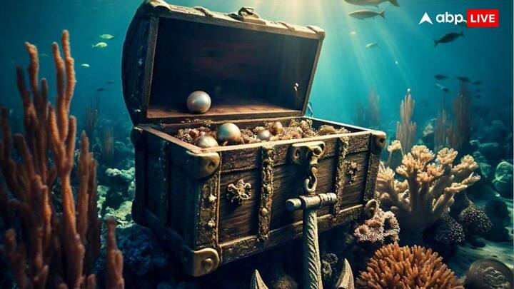 इतिहास के खजाने और समुद्री जहाजों की खोज से न केवल इतिहासकारों को एक नई जानकारी मिलेगी बल्कि ये पुर्तगाल के पूर्व साम्राज्य की ताकत और समृद्धि को भी दर्शाता है. ये खजाने पुर्तगाल के लिए एक नया इतिहास बना सकते हैं.