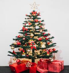 Christmas Tree Vastu Tips: ક્રિસમસ ટ્રી ઘરમાં રાખવાથી શું થાય છે ફાયદા, જાણો લગાવવાની રીત અને નિયમ