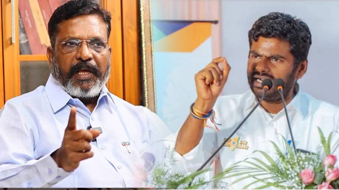 VCK thirumavalavan reply to annamalai about anna university abuse issue அண்ணாமலைக்கு என்ன ஆச்சு? லண்டன் போய்ட்டு வந்ததில் இருந்துதான் இப்படி - திருமாவளவன் பதிலடி 