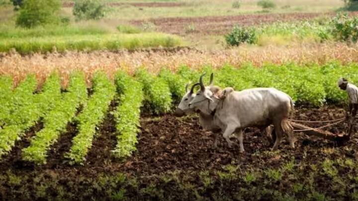जिन किसानों ने अब तक की केवाईसी पूरी नहीं करवाई है. उन किसानों के नाम लाभार्थी की सूची से काट दिए जाएंगे. इसके अलावा जिन किसानों ने भू सत्यापन का काम भी नहीं करवाया है. उनके नाम भी लाभार्थी की सूची से काट दिए जाएंगे.