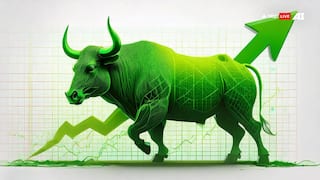 Multibagger Stocks: તમને માલામાલ કરી દેશે રોકેટની જેમ ભાગતો આ સ્ટોક, 1 લાખનું રોકાણ કરનારા બની ગયા કરોડપતિ