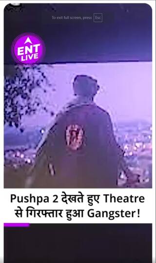 Pushpa 2 और Allu Arjun का Gangster Fan हुआ Theatre से Arrest! News Viral