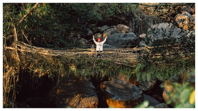 Diljit Dosanjh Shares Photos Of Trek To Living Root Bridge In Meghalaya