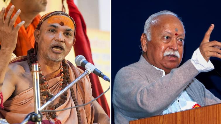 Shankaracharya Slams Mohan Bhagwat Over 'Mandir-Masjid' Remark: 'He Isn't Feeling Hindus' Pain'