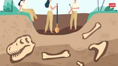 भारत के शहरों में खुदाई को लेकर बवाल, जानें देश में सबसे पहले कहां और क्यों हुई थी खुदाई