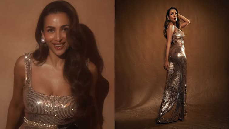 Malaika Arora's Dazzling Rose Gold Gown Steals The Spotlight, SEE PICS