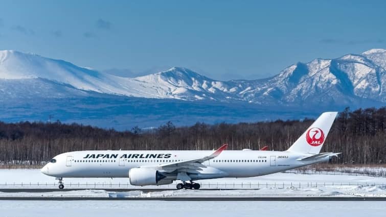 Cyberattack Disrupts Japan Airlines Flight Operations, Forces Tickets Suspension