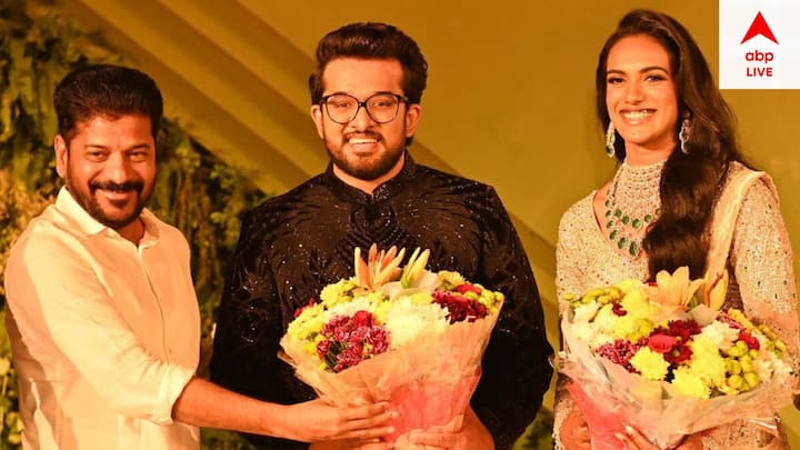 সিন্ধুর স্বামী ভেঙ্কট দত্ত পসিডেক্স টেকনোলজিসের এক্সিকিউটিভ ডিরেক্টর। তাঁর সম্পত্তির পরিমাণ প্রায়